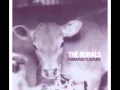 The Rurals- Latin Canteen