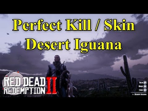 RDR2 Desert Iguana. How to get a Perfect Kill / Skin?