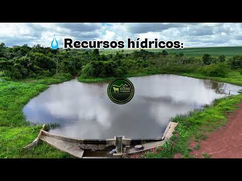 🌾 FAZENDA PRODUTIVA À VENDA – PONTALINA (GO) R$4.500.000,00💰