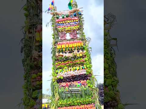 Patapampa 2026 Cochabamba arbieto #mitaproducciones