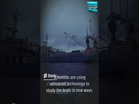 Uncovering the Mysteries of the Human Brain