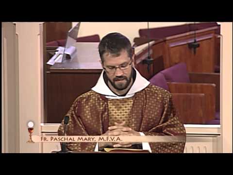 EWTN Daily Catholic Mass - 2014-11-14- Fr. Paschal Mary  MFVA