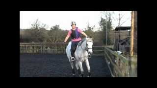 2012- We Were Meant To Fly