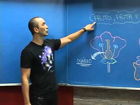 Diferença Entre Fruta, Fruto e Pseudofruto