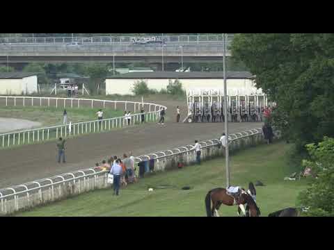 Šesta trka Beograd 02.07.2023 UTESNI DERBI