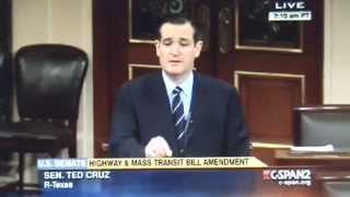Ted Cruz calls Mitch McConnell a liar (SHORT VERSION)