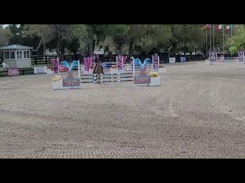 Milaan, 2017 Arezzo VDL x Numero Uno