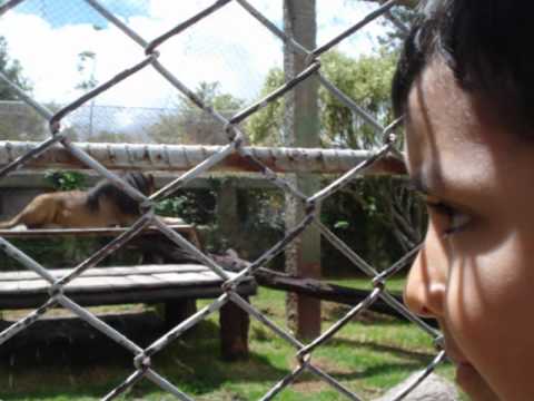 mabel feliz cumpleaños
