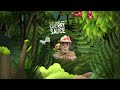Open video