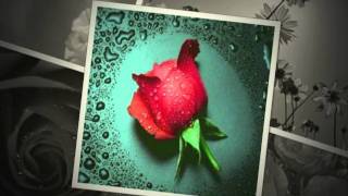 Those Good Old Dreams... The Carpenters