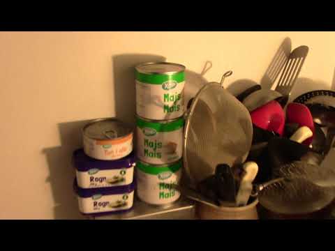 MongoTV_2346 - Del 13 - YouTube Challenge - IKKE KØBE NOGET 20 DAGE - Dag 13