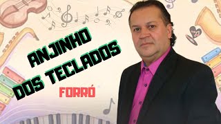 PART 05 ANJIHNHO ONIBUS BATE BATE CORAÇÃO CD COMPLETO E AS ANTIGAS TOP INSPIRAÇÃO CANTANDO FORRÓ