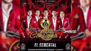 Alta consigna el semental