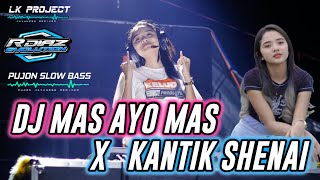 Download lagu DJ MAS AYO MAS X KANTIK SHENAI BY DIAZ REVOLUTION mp3