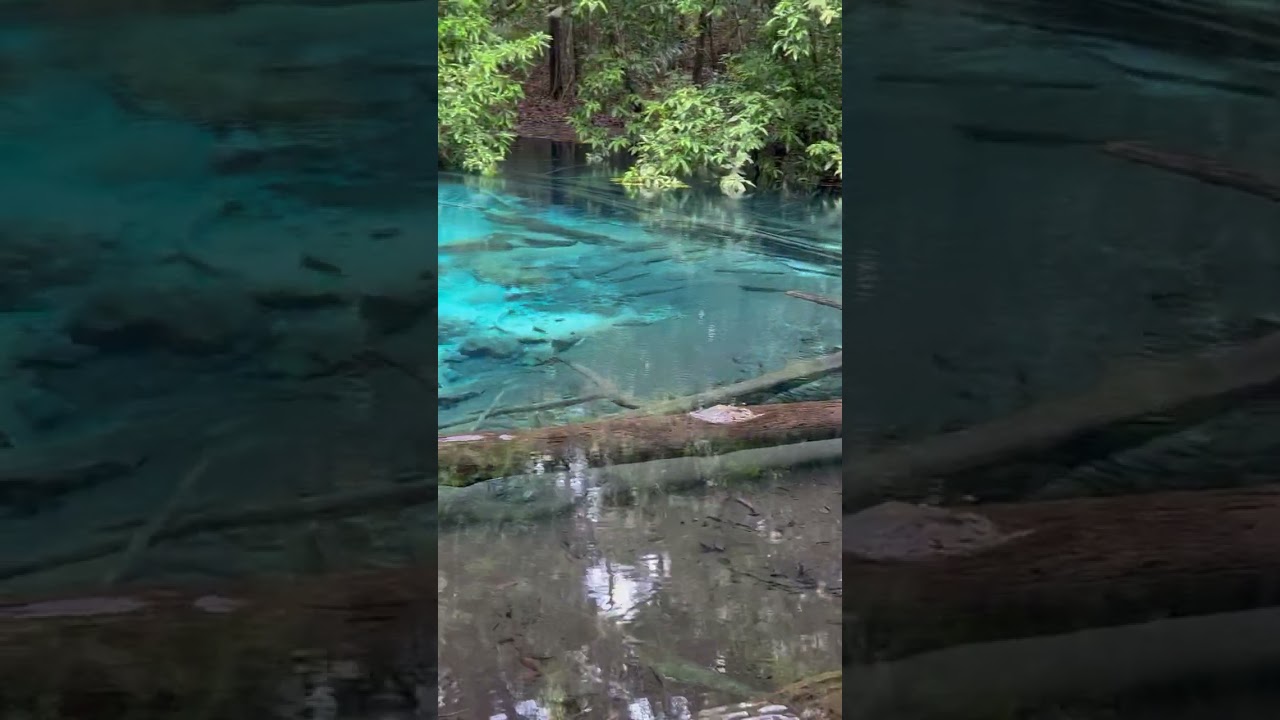 YouTube Short thumbnail