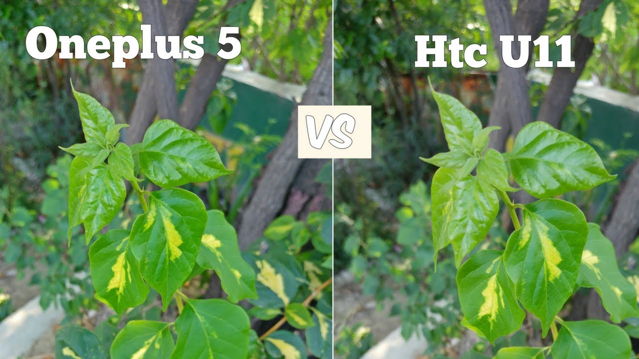 OnePlus 5 Camera Vs HTC U11 | Camera Test | Smartphone With The Best Camera 2017 !