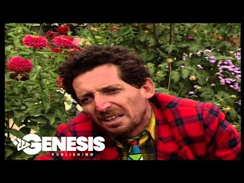 Bostani  i Dmokracis