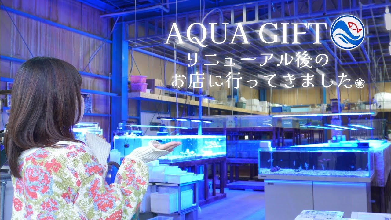 リニューアル後のアクアギフトさんに行ってきました❀店舗紹介 海水魚水槽 アクアリウム Marine aquarium.