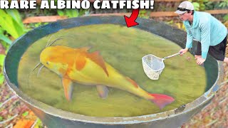 RARE $2,000 Albino Catfish CAUGHT in the WILD!