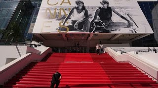 Festival de Cannes: Los perros policía se pasean por la alfombra roja