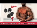 20 MINUTE CHEST WORKOUT (using ONLY TWO DUMBELLS) | FOLLOW ALONG