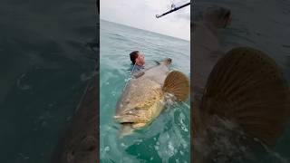 Download lagu BIG BAIT = BIG FISH mp3