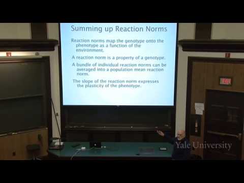 The Expression of Variation: Reaction Norms