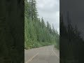 Sasquatch