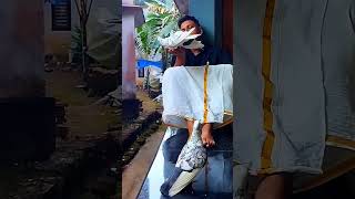 Download lagu ennai vital yarumillai mp3 Download lagu ennai vital yarumillai mp3