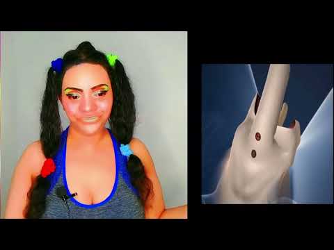 fandidiana lataka ho lasa fory