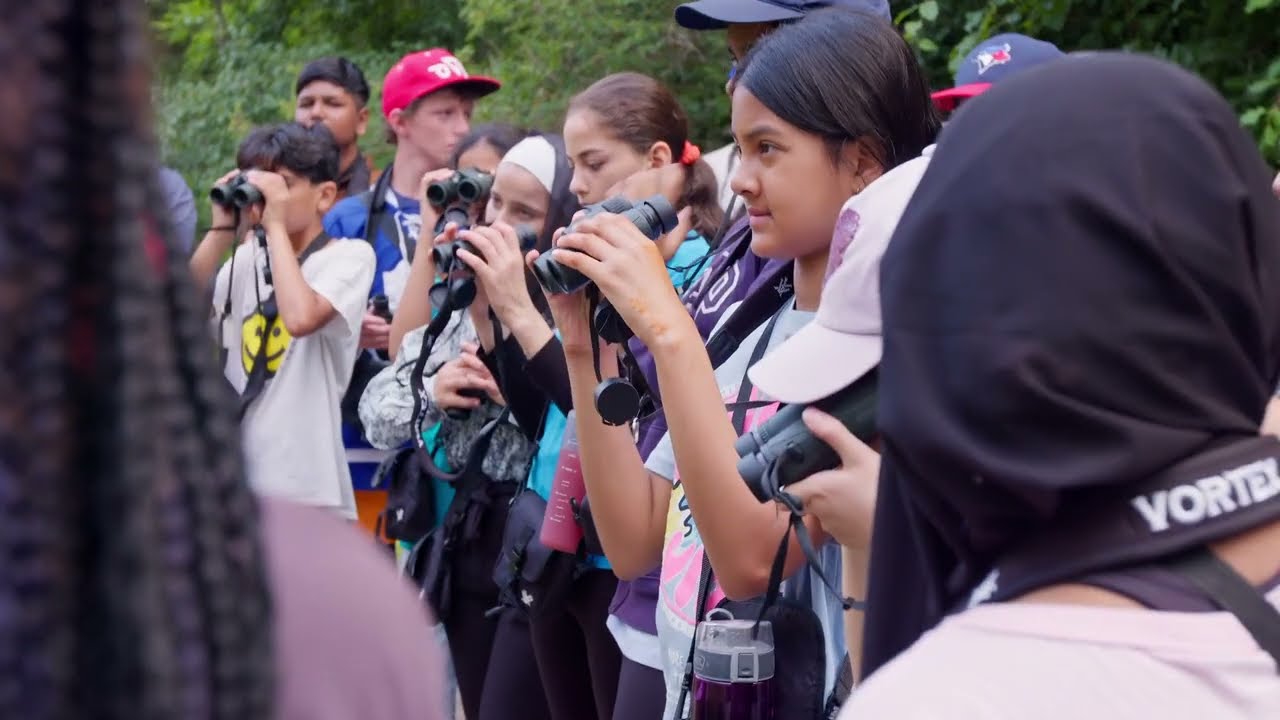 The Extraordinary Caterpillar (TVO Original Documentary) – Trailer