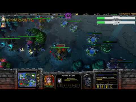 Foggy vs Thorzain - Warcraft 3 Pro Level Commentary