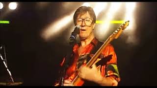 I COULD EASILY FALL IN LOVE ...  ARTISTS, THE SHADOWS ... THE FINAL TOUR LIVE (2004)