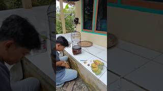 Download lagu Spil pleci hasil ombyokan #kicaumania #pleci mp3 Download lagu Spil pleci hasil ombyokan #kicaumania #pleci mp3