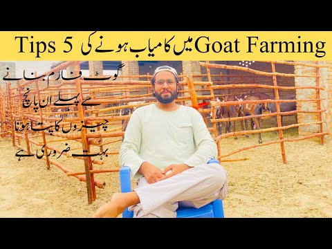 , title : 'How to Become Successful in Goat Farming || 5 Tips to Become Successful in Goat Farming || 2023'
