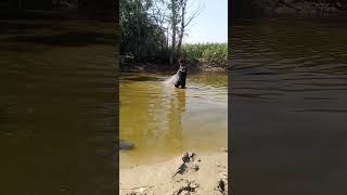 Download lagu #fis#video #fi #fish #huntrix 🐟🐟🐟🏞️ mp3 Download lagu #fis#video #fi #fish #huntrix 🐟🐟🐟🏞️ mp3