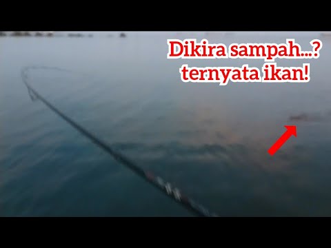 Casting Pinggiran Pantai Menggunakan Spoon dan Minnow di Paciran, Lamongan.