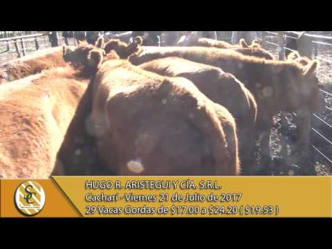 21-07-17 Venta Hacienda al kilo - Hugo R. Aristegui - Cacharí