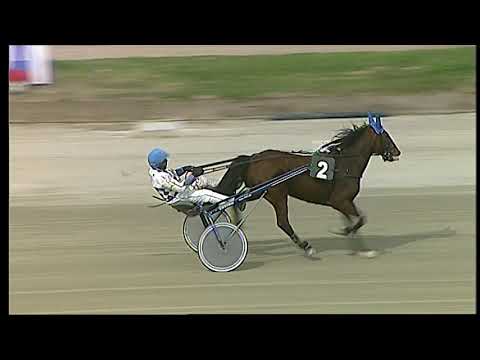 Napoli Trotto 12/03/2021 - prova di qualifica