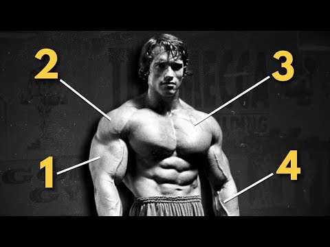 The Lost Secret That Made Golden Era Bodybuilders So F#CKN Aesthetic