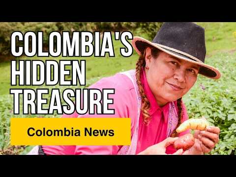 The Native Potatoes of Colombia: Inside Boyacá's Tesoros Nativos Project