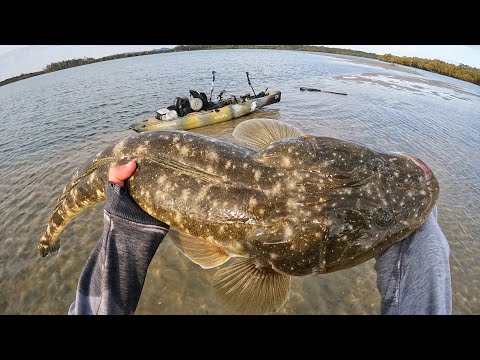 Kayak Fishing for GIANT Fish!!