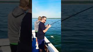 preview picture of video 'Lake Texoma Striper Fishing'