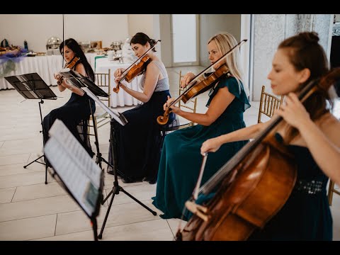 All you need is love - kwartet Antidotum