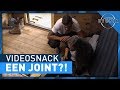 Drugs op de boodschappenlijst?! | UTOPIA