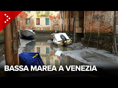 Bassa marea a Venezia, picco sui -45 cm: canali in secca e barche arenate lungo le sponde