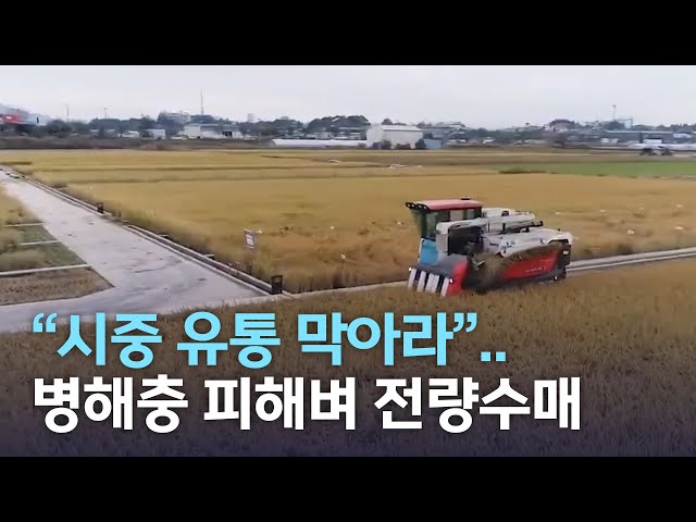 벼 병해충 피해벼 전량 수매