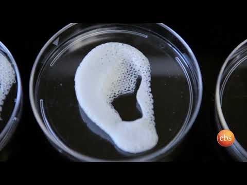 TechTalk With Solomon S5 E7 - Who Controls The Internet, Car Running with Human Poop,  Mars 2030