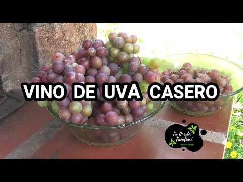 , title : 'Como hacer vino de uva casero muy fácil // paso a paso'