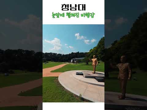 sns 이미지